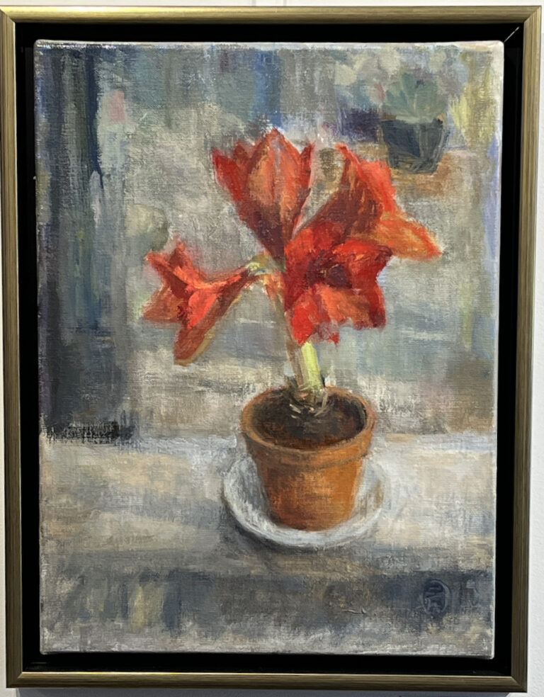 Amaryllis