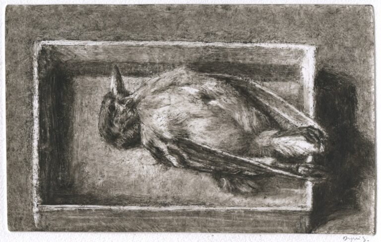 Bird in a box